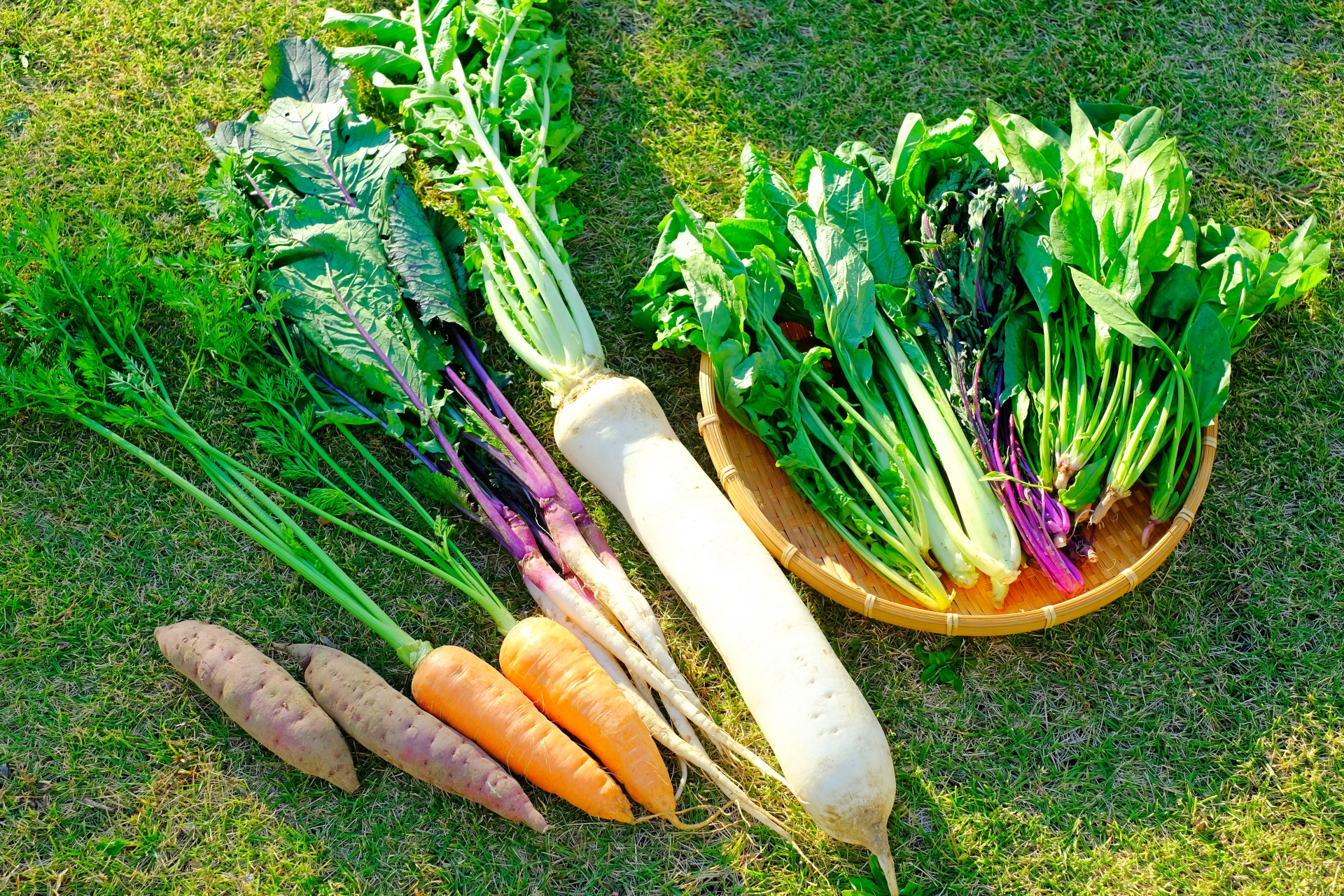 Description of the image